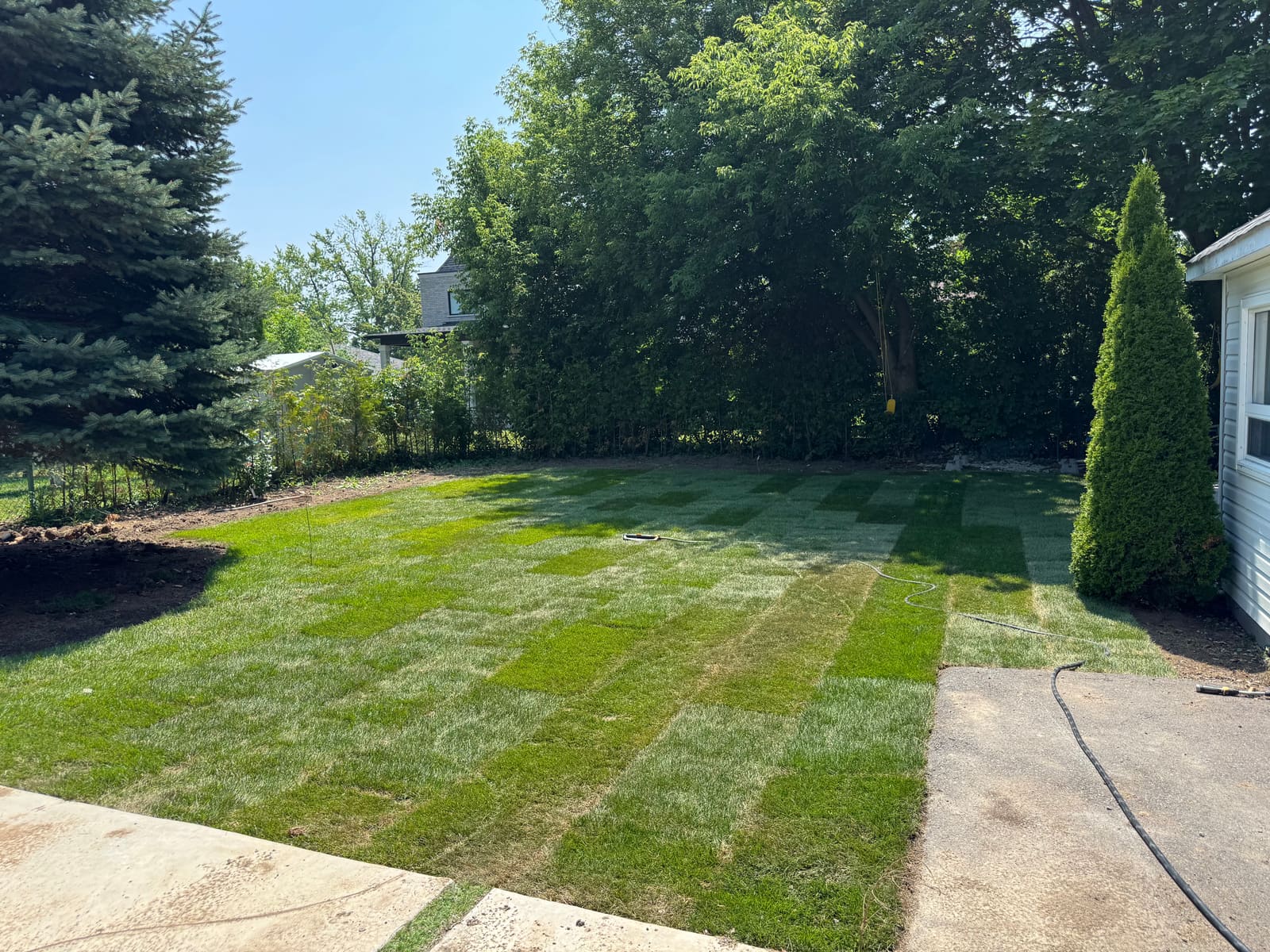 Lawn Refresh: From Bare Soil to Fresh Sod