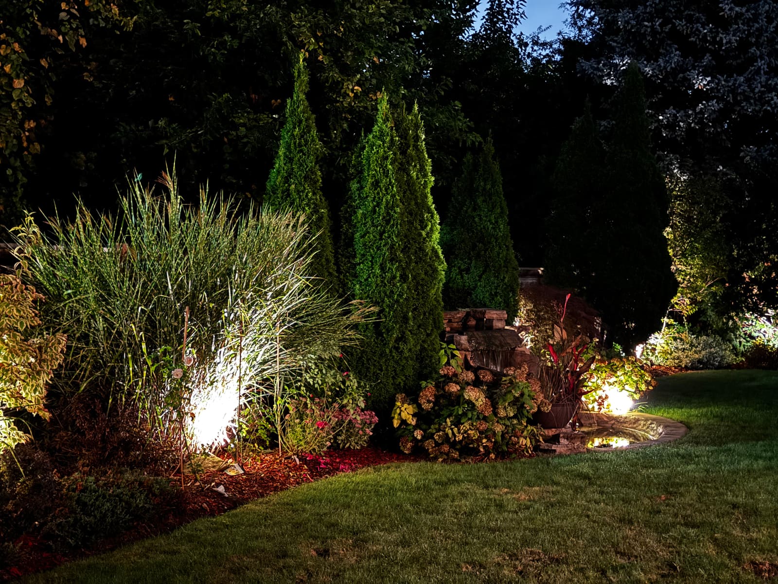 Garden bed with uplit evergreens