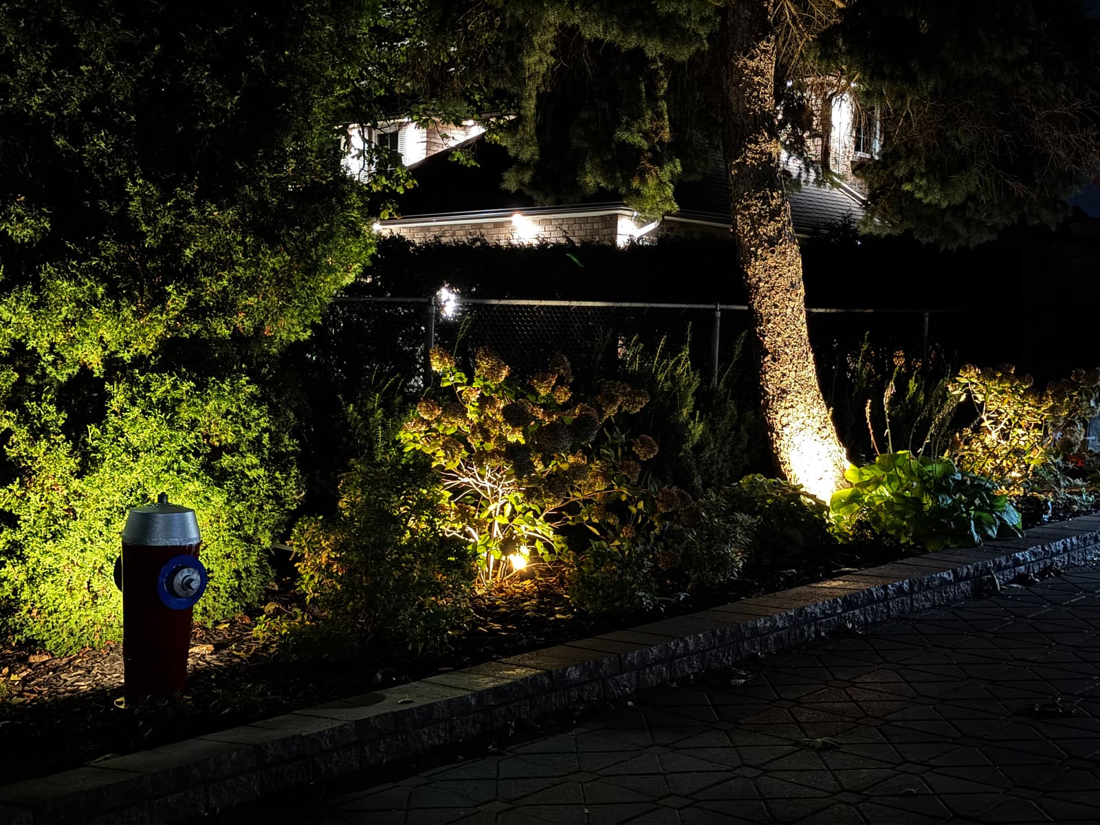 Uplit tree beside the driveway