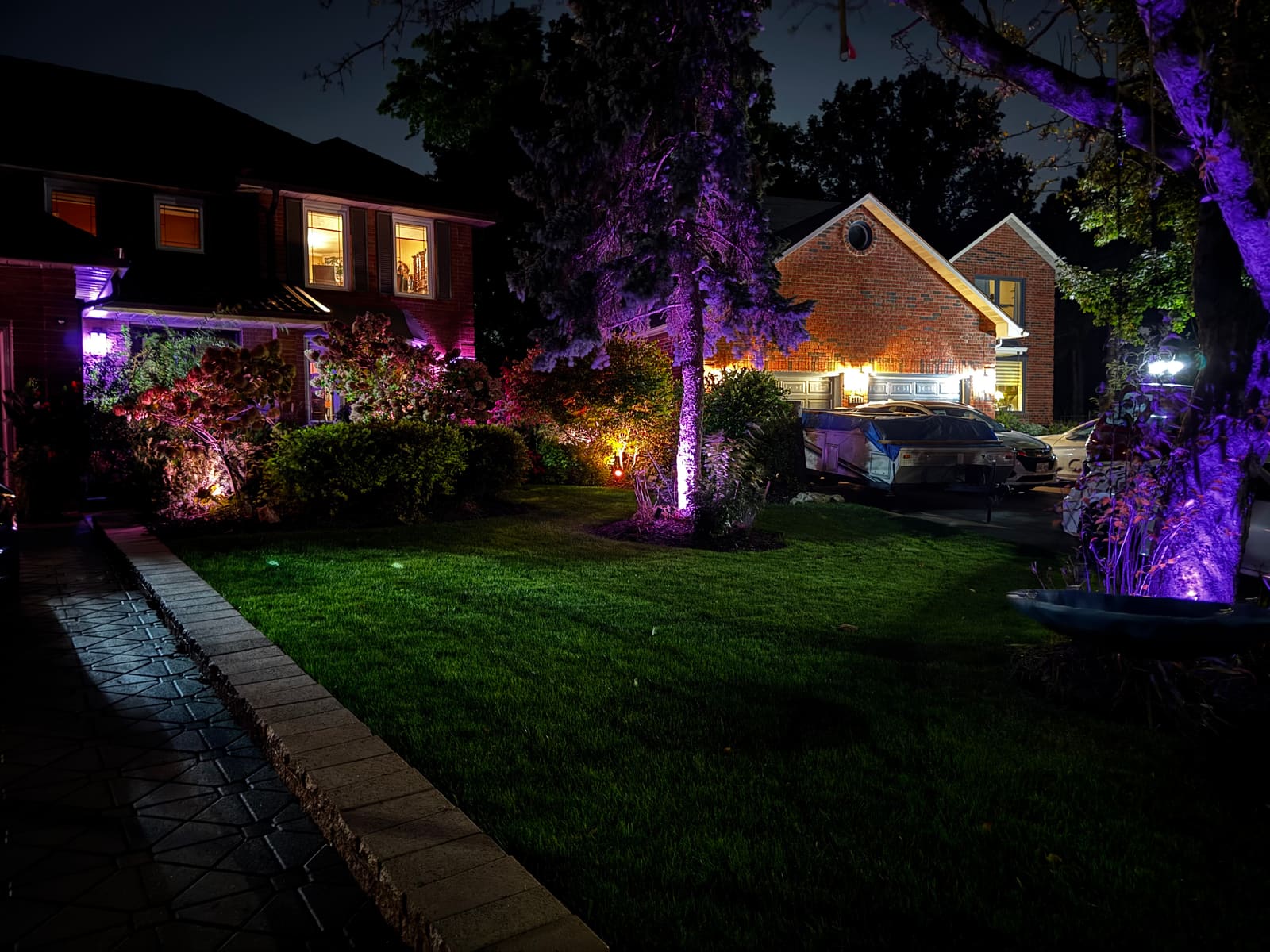 Purple uplighting on the front yard trees