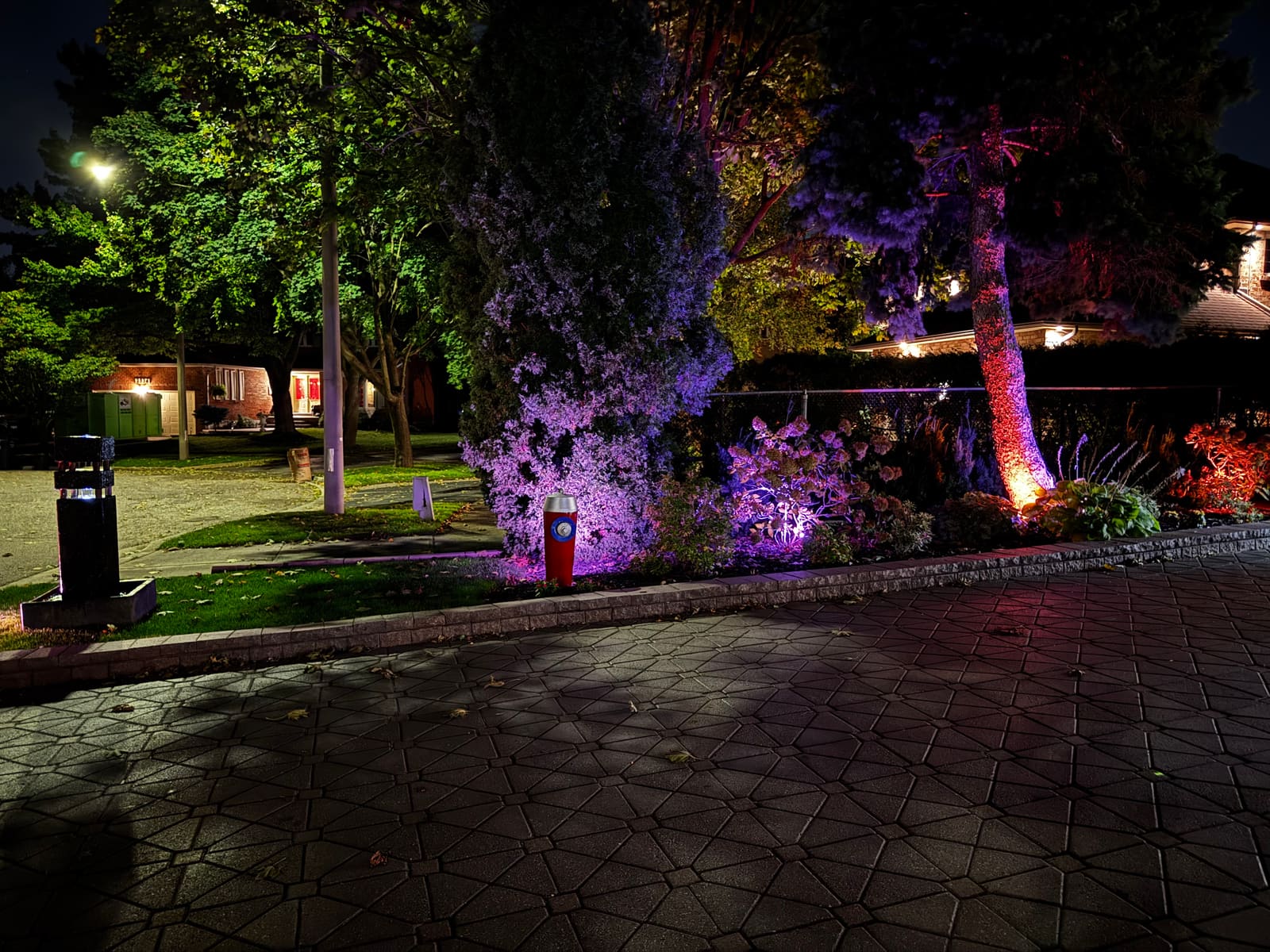 Purple and red uplighting along the driveway