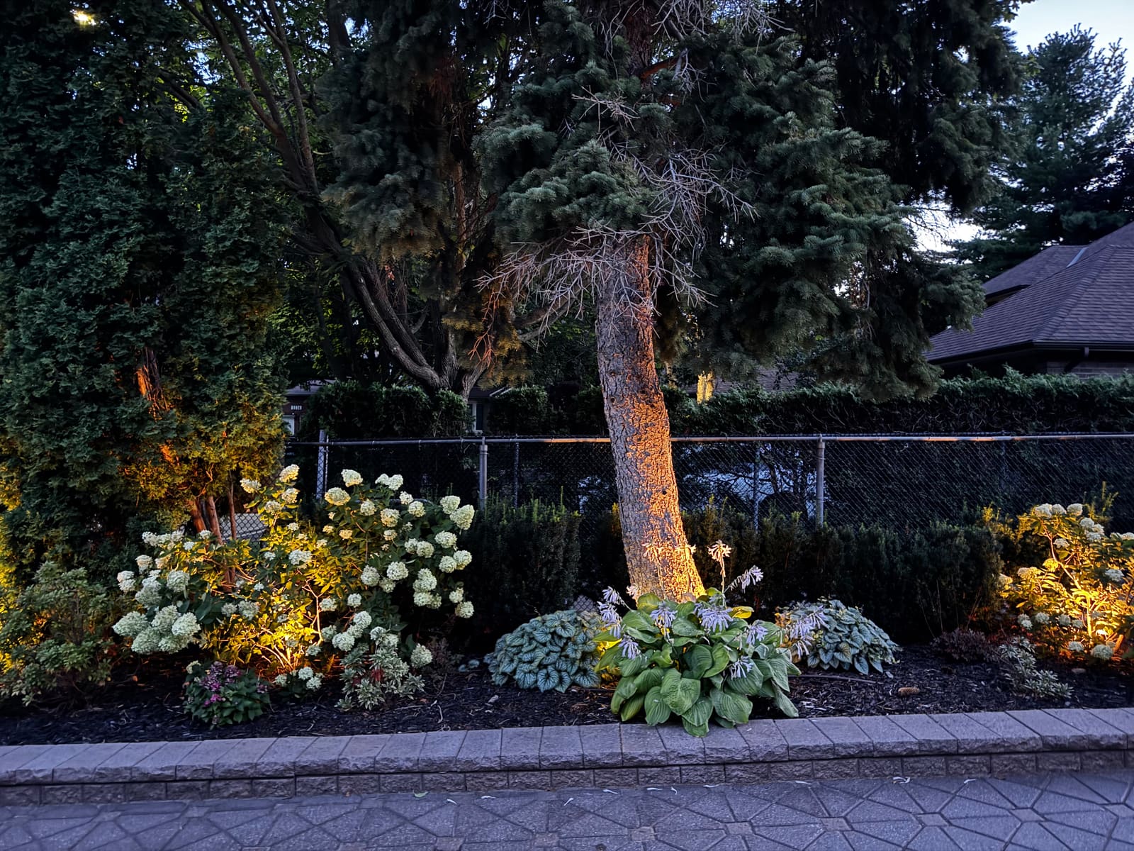 Garden bed and tree uplit at dusk