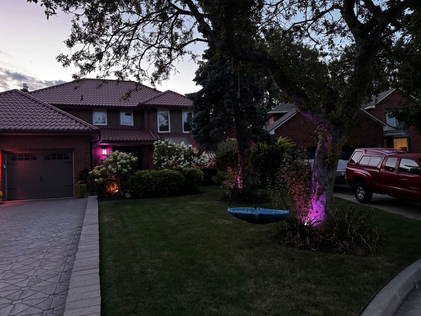 Pink uplighting on the front tree at dusk