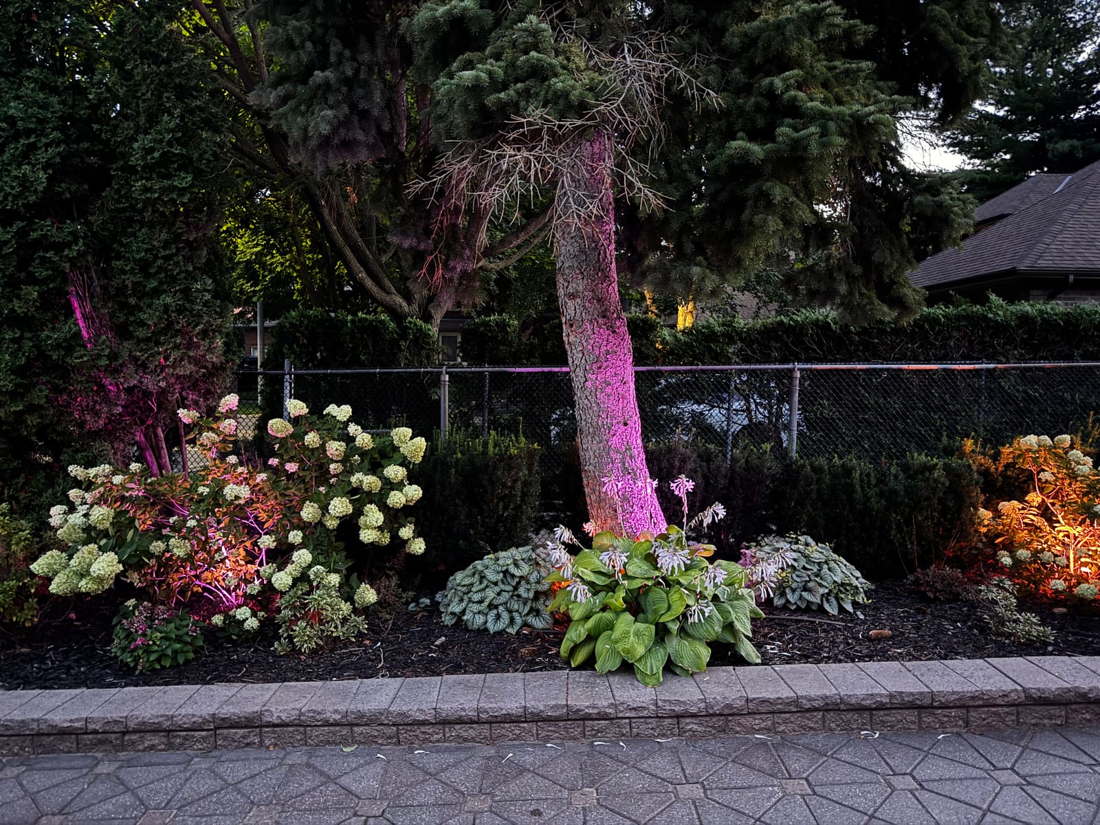 Pink uplit tree in the garden bed