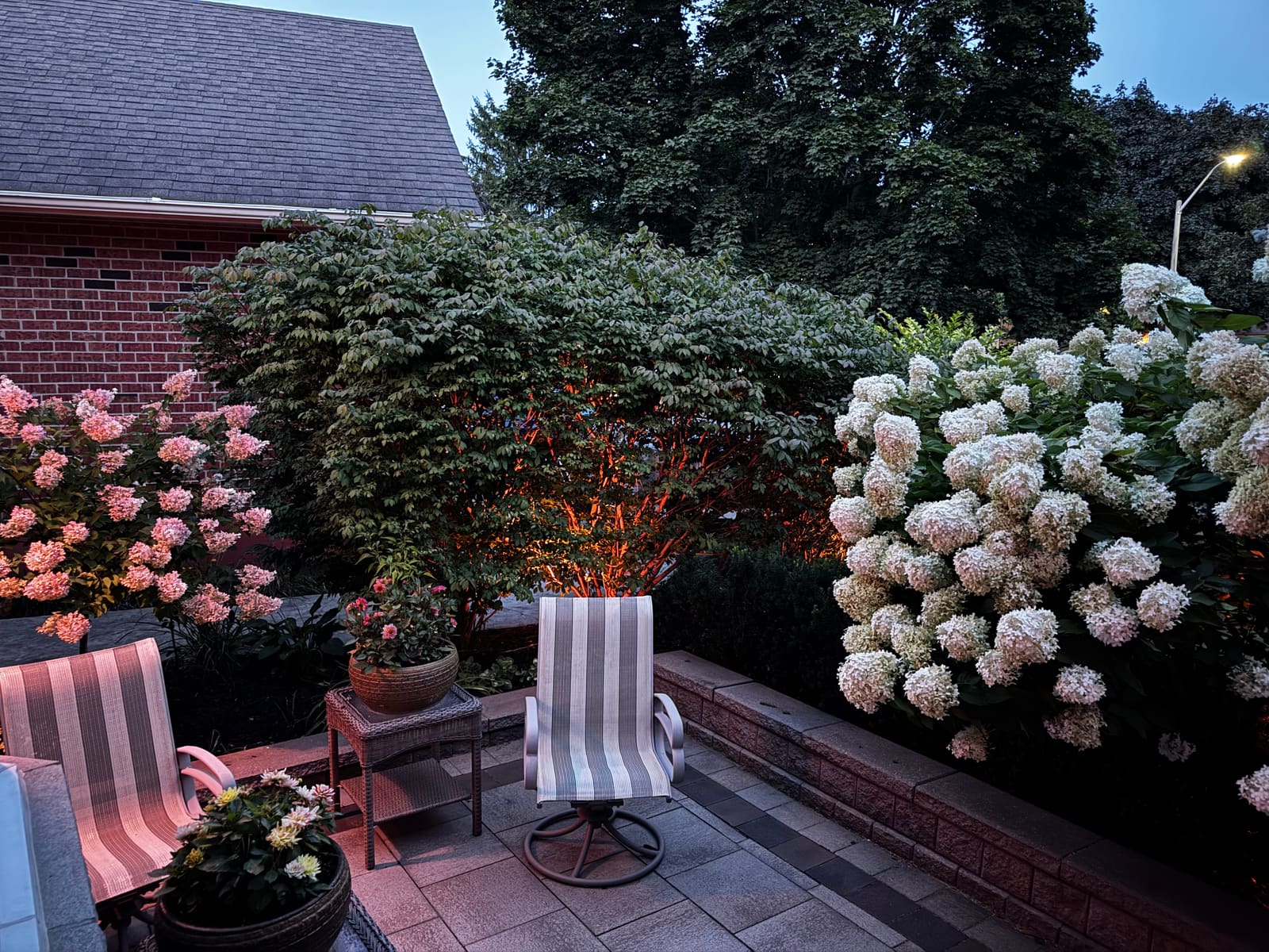 Backyard patio with accent lighting